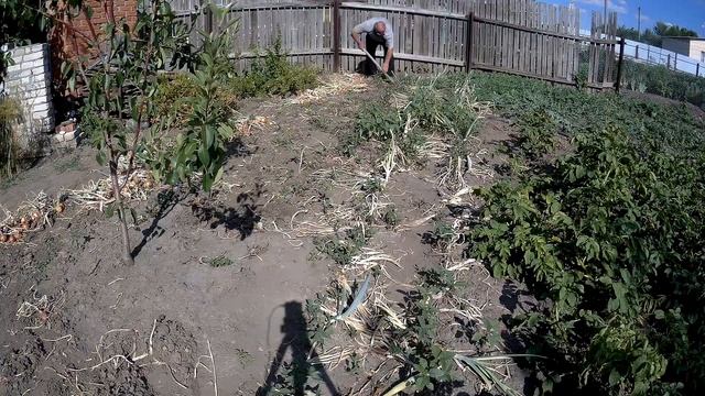 СОБРАЛИ УРОЖАЙ ЛУКА/ВНУЧА РЕЗВИТСЯ В БАССЕЙНЕ!!!! смотреть онлайн