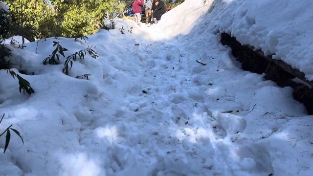 Katra To Patnitop || Patnitop Tour Plan || Patnitop Hill Station || Patnitop Snow || Ankur Dua Vlog
