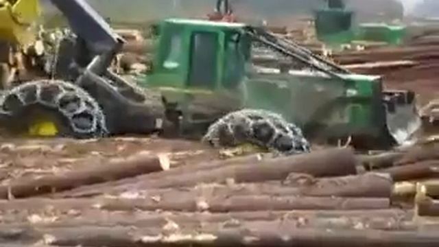Зверь машина.Реальная моща!!! смотреть онлайн