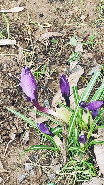 Весна... смотреть онлайн