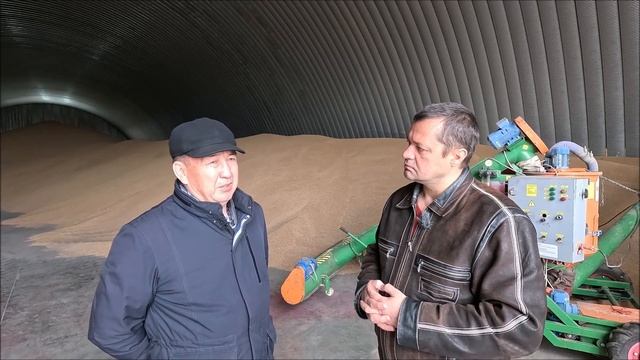 Баймурза Сатаев о сортах пшеницы Айна и Ликамеро смотреть онлайн