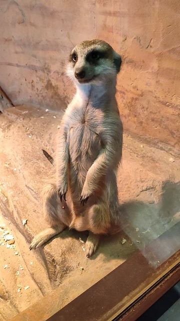 5b82d1a3-89c0-4696-9dcd-d0b9b5b01bf1-1_all_21832.mp4