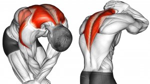 Выполняйте эти Упражнения каждый день, чтобы Улучшить Осанку