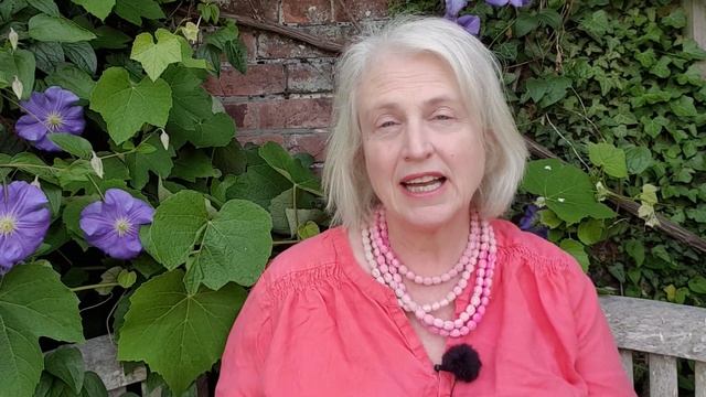 July Garden Tour - Middlesized Garden Top Plants And Tips