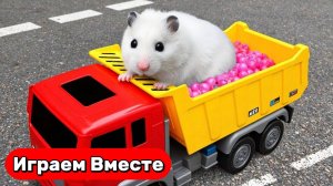 Лабиринт с ЛОВУШКАМИ для Умного Хомяка ! Видео для детей