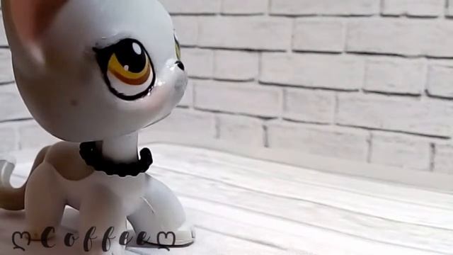 LPS: 💓 На MEP •CLEVER• Part12 смотреть онлайн