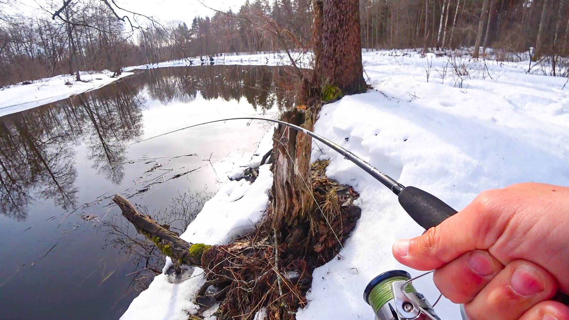 НАШЁЛ НЕТРОНУТЫЕ МЕСТА с ГОЛОДНОЙ щукой. Рыбалка на лесной малой реке на спиннинг в 2024 смотреть онлайн