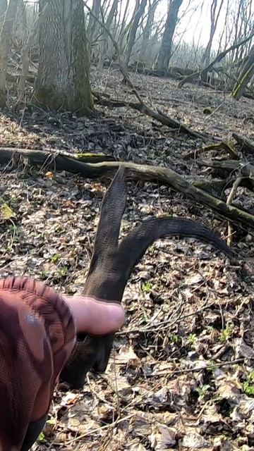 Находки на старинном фундаменте #shorts смотреть онлайн