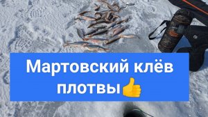 Успешная рыбалка, плотва в марте 2025г, секреты ловли.