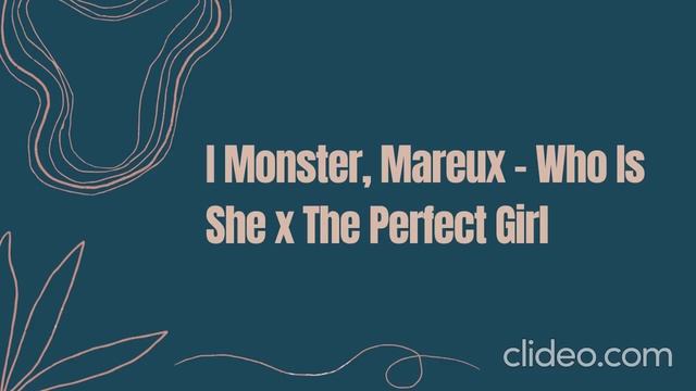 Who Is She x The Perfect Girl (Remix) смотреть онлайн