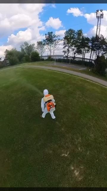 Обработка от клещей