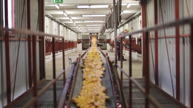 Pioneer Parndorf Hi-Tech mit Tradition in Österreich смотреть онлайн