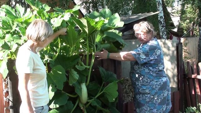 Органические отходы и урожай смотреть онлайн