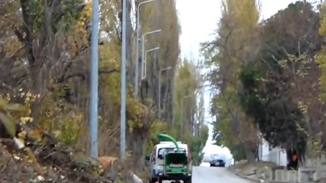 пилят деревья для самого жирного смотреть онлайн