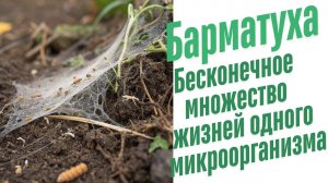 Совокупность растений, животных, грибов и микроорганизмов.