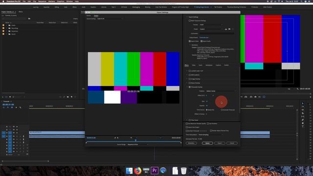 Add Timecode in Premiere Pro (Easy Way) смотреть онлайн