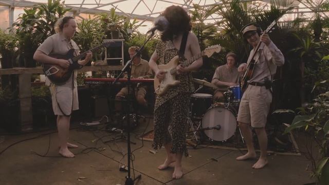 Jungle Man ~Swaul Pope and the Aristocrats: NPR Tiny Desk Entry 2020 смотреть онлайн