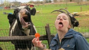 Смешные падения и неудачи  Подборка приколов  САМЫМИ СМЕШНЫМИ МОМЕНТАМИ СНЯТЫЕ НА КАМЕРУ 2025