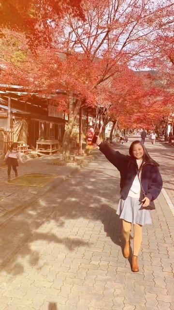 Autumn 2023 / Maple Leaves /谷汲山華厳寺 / Japan Vlog