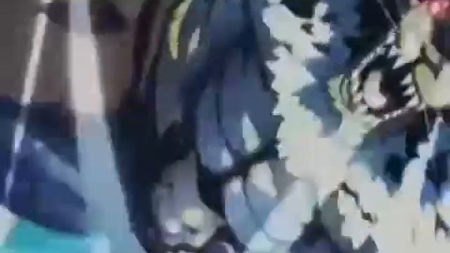 Saitama Vs Beast King (Сайтама против Царя Зверей)