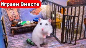 Лабиринт для Хомяка ! Выбираемся из ЗАБРОШЕННОЙ ТЮРЬМЫ С ЛОВУШКАМИ ! Видео для детей