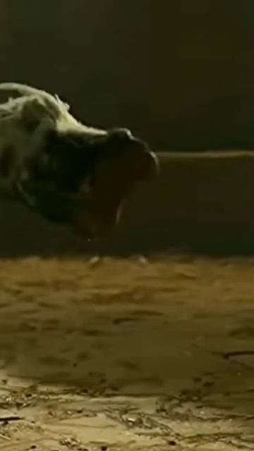 oviraptor VS Lystrosaurus смотреть онлайн