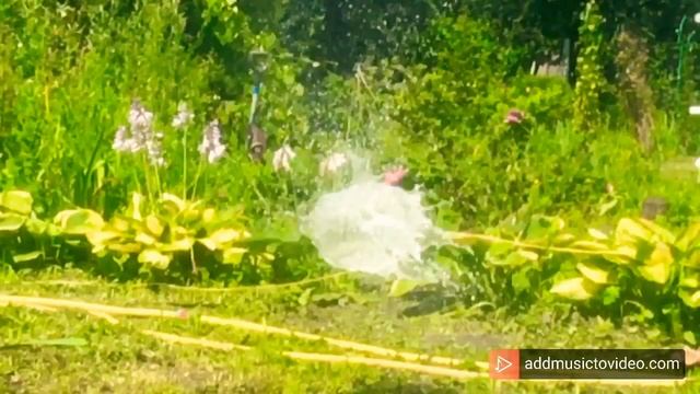 Стрельба из лука смотреть онлайн