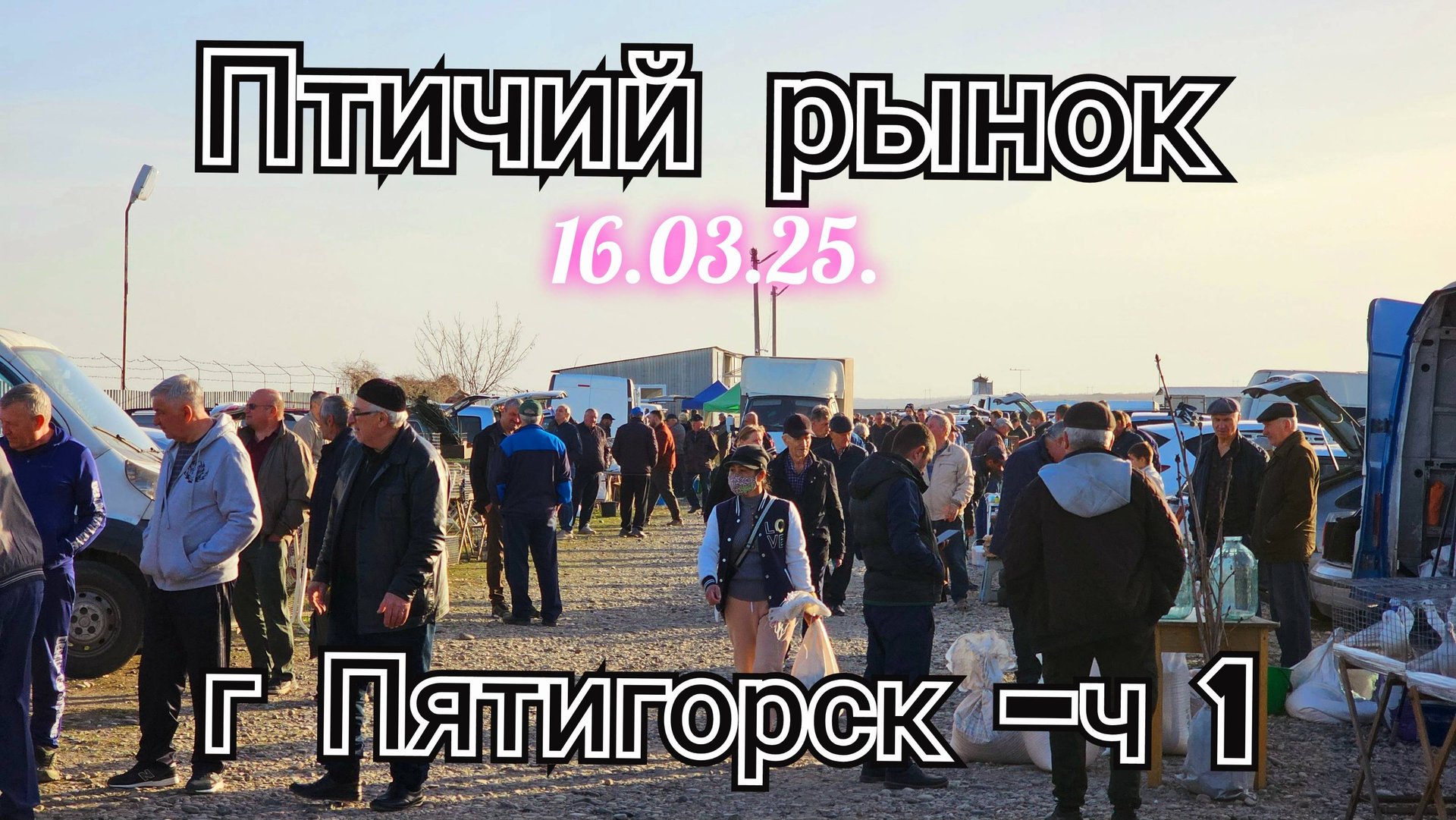 Голуби цены Птичий рынок г Пятигорск - ч1 смотреть онлайн