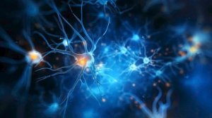 Регенерация и исцеление всего организма во время сна Матрица Гаряева.