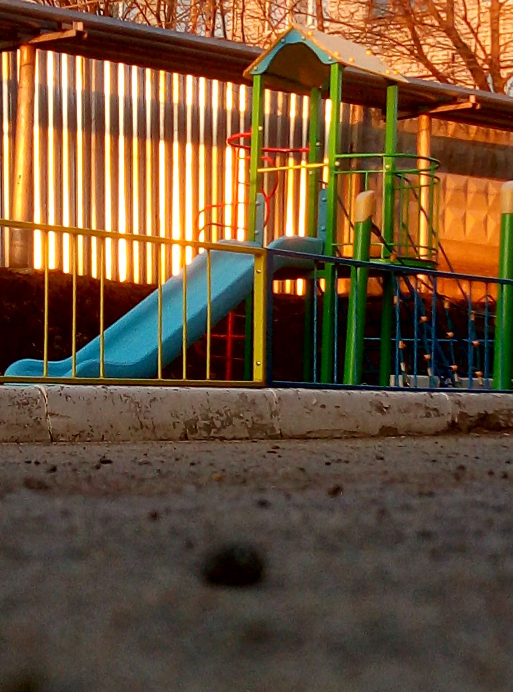 мою таба лапки