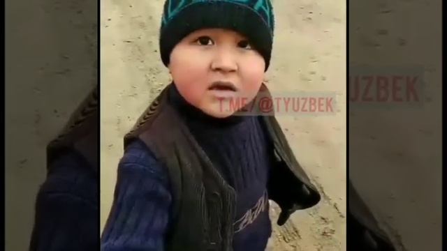 Bola ugrisi смотреть онлайн