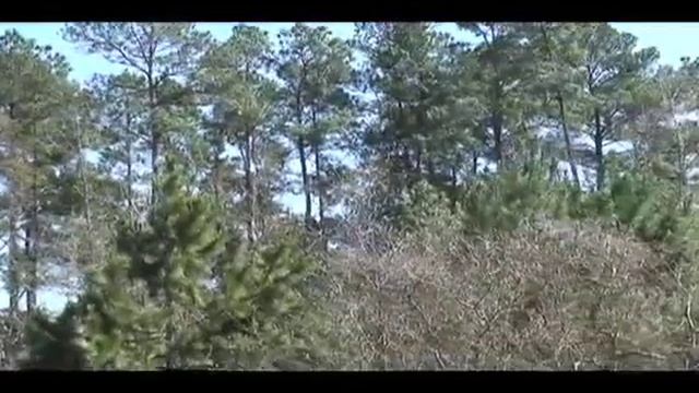 On Board Video Camera On A F2d Ship!  Control Line Combat Model Airplanes