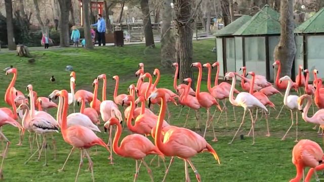 4 сентября 2020 г.