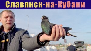 Птичий рынок. Славянск-на-Кубани. [16.03.2025]