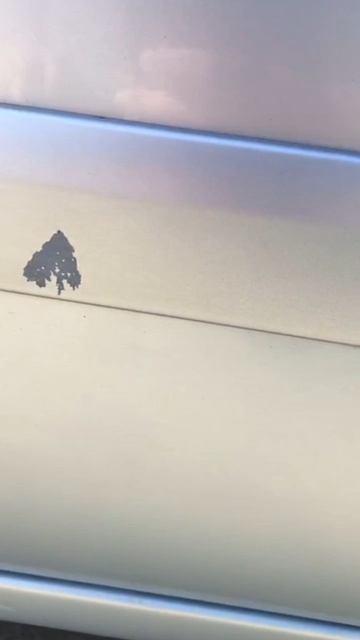 Удаляем рыжики после зимы #гранта. Весна покажет кто где срал ..... смотреть онлайн