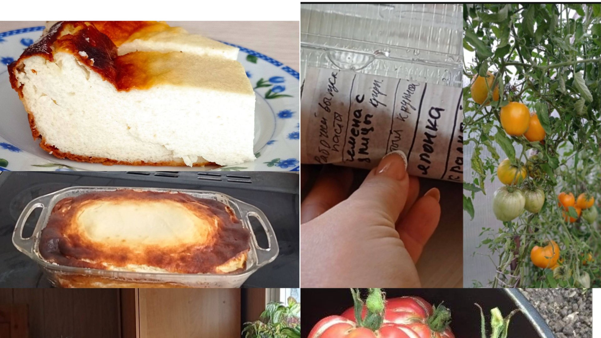 ОЧЕНЬ вкусная ТВОРОЖНАЯ ЗАПЕКАНКА. Какие ТОМАТЫ 🍅 посеяла. смотреть онлайн