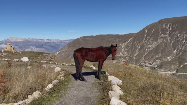 Дагестан часть 6