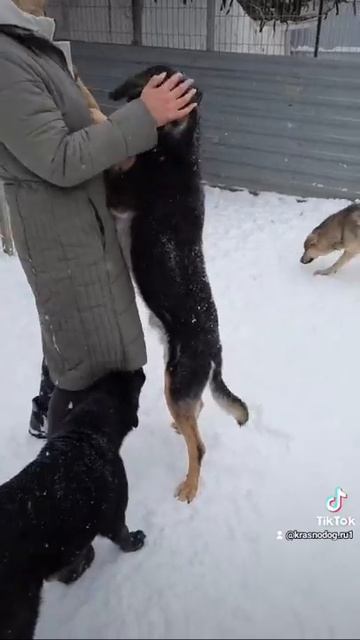 Возьми моё сердце ♥ смотреть онлайн