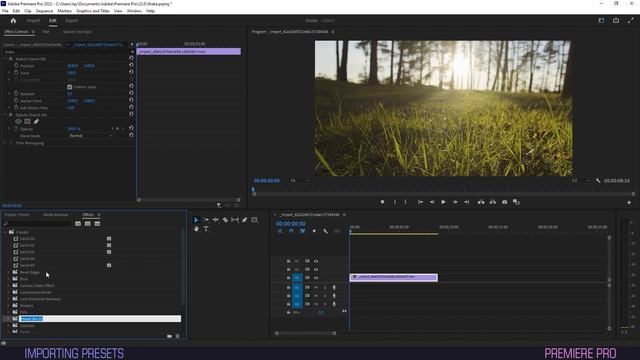 How to Import Premiere Presets смотреть онлайн