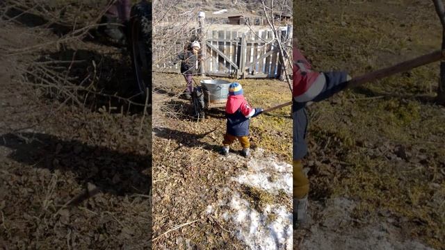 помогаем родителям