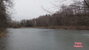 Фидергам. Купить готовый монтаж или сделать самому.