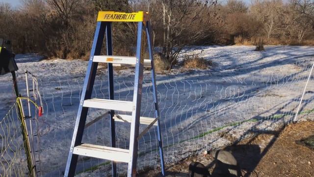 Канада. Жизнь в загородном доме 71. 9 декабря 2020 года смотреть онлайн