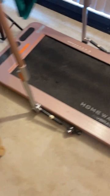 Asking my kitty Dexter why he’s so messy cute cats🐈🐾🐈⬛😽 смотреть онлайн