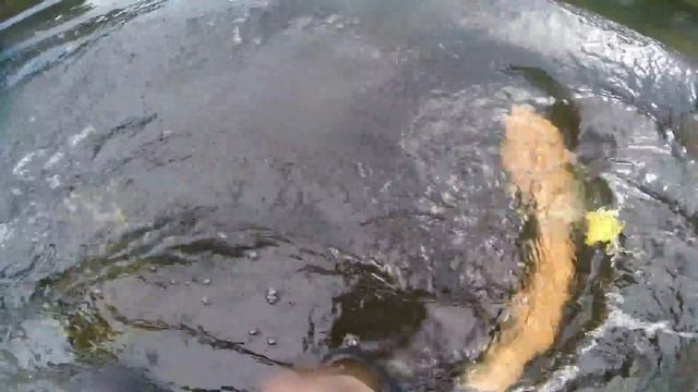 Слава Сергеев смотреть онлайн