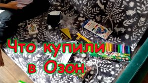 Москва, Сочи 2025. Обзор покупок в Озон. (03.25г.) Семья Бровченко.