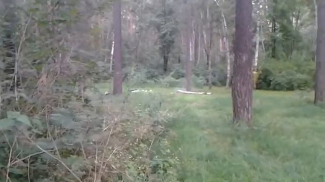 Бомбануло смотреть онлайн