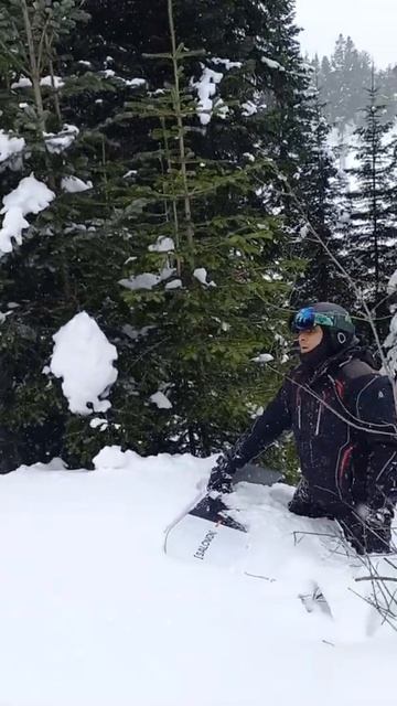 А нам же ёлочки надо! #Shorts смотреть онлайн