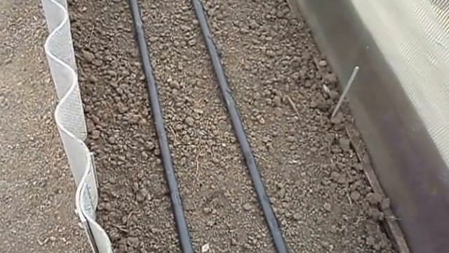 Подробнее о капельном поливе. 02.10.2015 смотреть онлайн