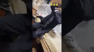 Нарик под солями