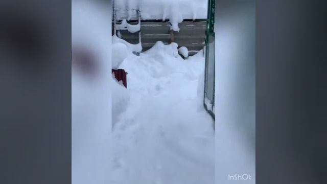 Упал с крыши снег😳😳😳 смотреть онлайн